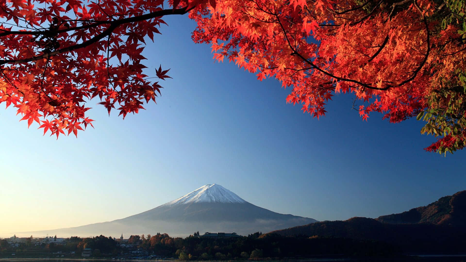 Mount Fuji with autumn leaves